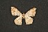  ( - ChamLep-0097)  @13 [ ] Unspecified (default): All Rights Reserved  Unspecified Unspecified