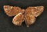  ( - ChamLep-0121)  @14 [ ] Unspecified (default): All Rights Reserved  Unspecified Unspecified