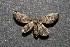  ( - ChamLep-0133)  @12 [ ] Unspecified (default): All Rights Reserved  Unspecified Unspecified