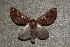  ( - ChamLep-0141)  @13 [ ] Unspecified (default): All Rights Reserved  Unspecified Unspecified