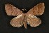  ( - ChamLep-0176)  @13 [ ] Unspecified (default): All Rights Reserved  Unspecified Unspecified