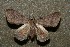  ( - ChamLep-0177)  @11 [ ] Unspecified (default): All Rights Reserved  Unspecified Unspecified