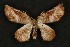  ( - ChamLep-0101)  @13 [ ] Unspecified (default): All Rights Reserved  Unspecified Unspecified