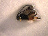  ( - Micro0005)  @12 [ ] Unspecified (default): All Rights Reserved  Unspecified Unspecified