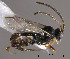  ( - Micro0030)  @12 [ ] Unspecified (default): All Rights Reserved  Unspecified Unspecified