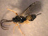 ( - Micro0033)  @12 [ ] Unspecified (default): All Rights Reserved  Unspecified Unspecified