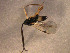  ( - Micro0035)  @12 [ ] Unspecified (default): All Rights Reserved  Unspecified Unspecified