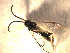  ( - Micro0037)  @12 [ ] Unspecified (default): All Rights Reserved  Unspecified Unspecified
