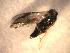  ( - Micro0040)  @12 [ ] Unspecified (default): All Rights Reserved  Unspecified Unspecified