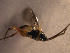  ( - Micro0041)  @12 [ ] Unspecified (default): All Rights Reserved  Unspecified Unspecified