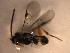 ( - Micro0043)  @12 [ ] Unspecified (default): All Rights Reserved  Unspecified Unspecified