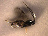  ( - Micro0052)  @12 [ ] Unspecified (default): All Rights Reserved  Unspecified Unspecified