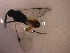  ( - Micro0054)  @12 [ ] Unspecified (default): All Rights Reserved  Unspecified Unspecified