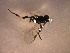  ( - Micro0058)  @12 [ ] Unspecified (default): All Rights Reserved  Unspecified Unspecified