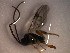  ( - Micro0069)  @12 [ ] Unspecified (default): All Rights Reserved  Unspecified Unspecified