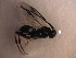  ( - Micro0073)  @12 [ ] Unspecified (default): All Rights Reserved  Unspecified Unspecified