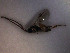  ( - Micro0078)  @12 [ ] Unspecified (default): All Rights Reserved  Unspecified Unspecified