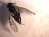  ( - Micro0080)  @12 [ ] Unspecified (default): All Rights Reserved  Unspecified Unspecified
