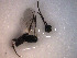  ( - Micro0085)  @12 [ ] Unspecified (default): All Rights Reserved  Unspecified Unspecified