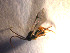  ( - Micro0100)  @12 [ ] Unspecified (default): All Rights Reserved  Unspecified Unspecified