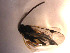 ( - Micro0102)  @12 [ ] Unspecified (default): All Rights Reserved  Unspecified Unspecified