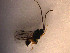  ( - Micro0113)  @12 [ ] Unspecified (default): All Rights Reserved  Unspecified Unspecified