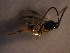  ( - Micro0114)  @12 [ ] Unspecified (default): All Rights Reserved  Unspecified Unspecified