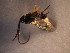  ( - Micro0115)  @12 [ ] Unspecified (default): All Rights Reserved  Unspecified Unspecified