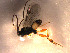  ( - Micro0116)  @12 [ ] Unspecified (default): All Rights Reserved  Unspecified Unspecified