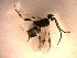  ( - Micro0117)  @12 [ ] Unspecified (default): All Rights Reserved  Unspecified Unspecified