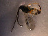  ( - Micro0118)  @12 [ ] Unspecified (default): All Rights Reserved  Unspecified Unspecified