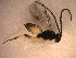  ( - Micro0122)  @12 [ ] Unspecified (default): All Rights Reserved  Unspecified Unspecified