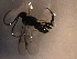  ( - Micro0140)  @12 [ ] Unspecified (default): All Rights Reserved  Unspecified Unspecified