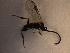  ( - Micro0157)  @12 [ ] Unspecified (default): All Rights Reserved  Unspecified Unspecified