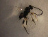  ( - Micro0162)  @12 [ ] Unspecified (default): All Rights Reserved  Unspecified Unspecified