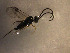  ( - Micro0167)  @12 [ ] Unspecified (default): All Rights Reserved  Unspecified Unspecified