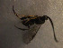  ( - Micro0172)  @12 [ ] Unspecified (default): All Rights Reserved  Unspecified Unspecified