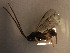  ( - Micro0188)  @12 [ ] Unspecified (default): All Rights Reserved  Unspecified Unspecified