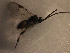  ( - Micro0191)  @12 [ ] Unspecified (default): All Rights Reserved  Unspecified Unspecified