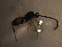  ( - Micro0192)  @12 [ ] Unspecified (default): All Rights Reserved  Unspecified Unspecified