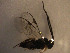  ( - Micro0195)  @12 [ ] Unspecified (default): All Rights Reserved  Unspecified Unspecified