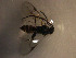  ( - Micro0196)  @12 [ ] Unspecified (default): All Rights Reserved  Unspecified Unspecified