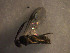  ( - Micro0200)  @12 [ ] Unspecified (default): All Rights Reserved  Unspecified Unspecified