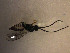  ( - Micro0204)  @12 [ ] Unspecified (default): All Rights Reserved  Unspecified Unspecified