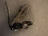  ( - Micro0205)  @12 [ ] Unspecified (default): All Rights Reserved  Unspecified Unspecified