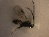  ( - Micro0207)  @12 [ ] Unspecified (default): All Rights Reserved  Unspecified Unspecified