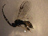  ( - Micro0214)  @12 [ ] Unspecified (default): All Rights Reserved  Unspecified Unspecified