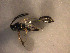  ( - Micro0216)  @12 [ ] Unspecified (default): All Rights Reserved  Unspecified Unspecified