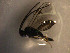  ( - Micro0223)  @12 [ ] Unspecified (default): All Rights Reserved  Unspecified Unspecified