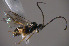  ( - Micro0249)  @12 [ ] Unspecified (default): All Rights Reserved  Unspecified Unspecified